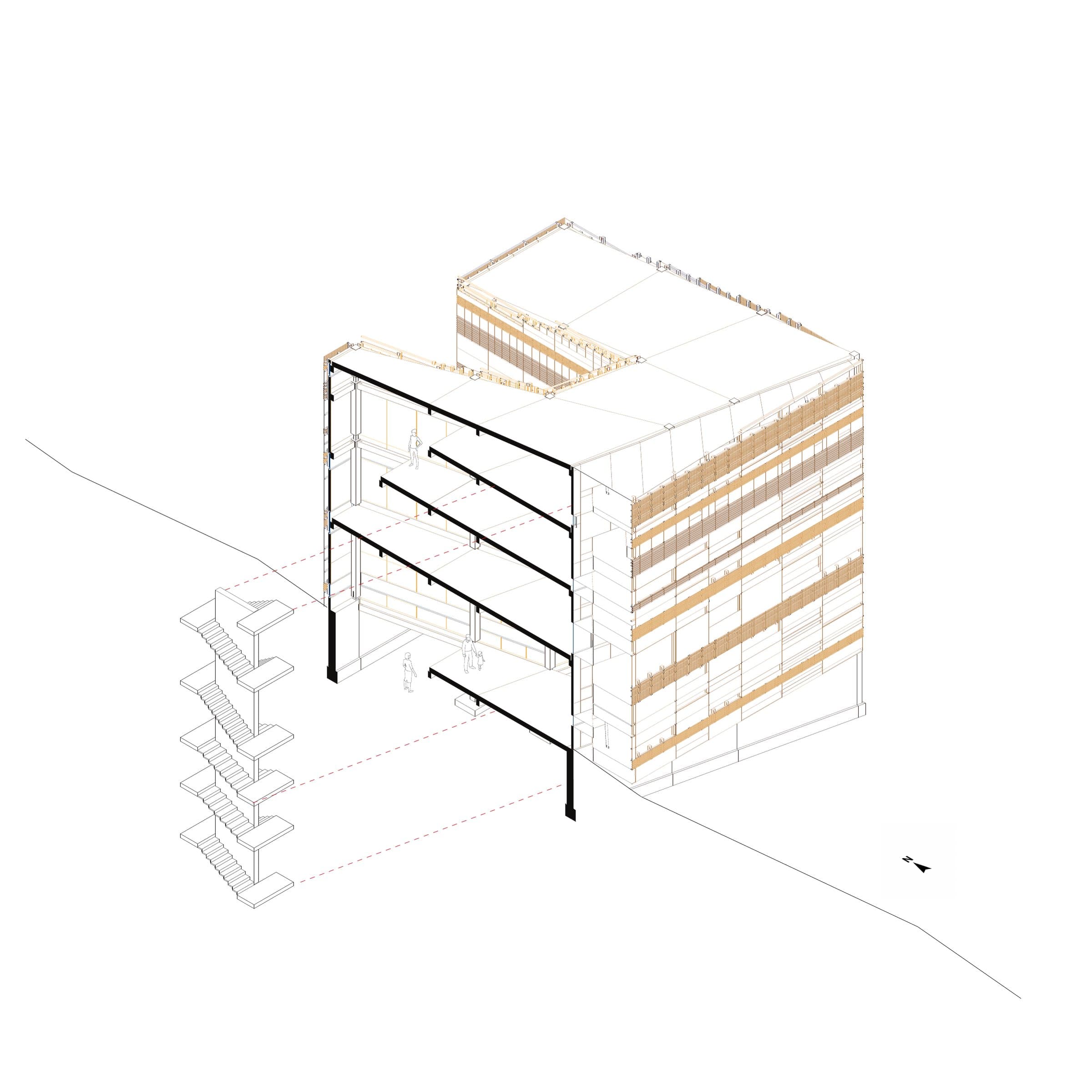 Sectional axonometric through the building on its sloped site.